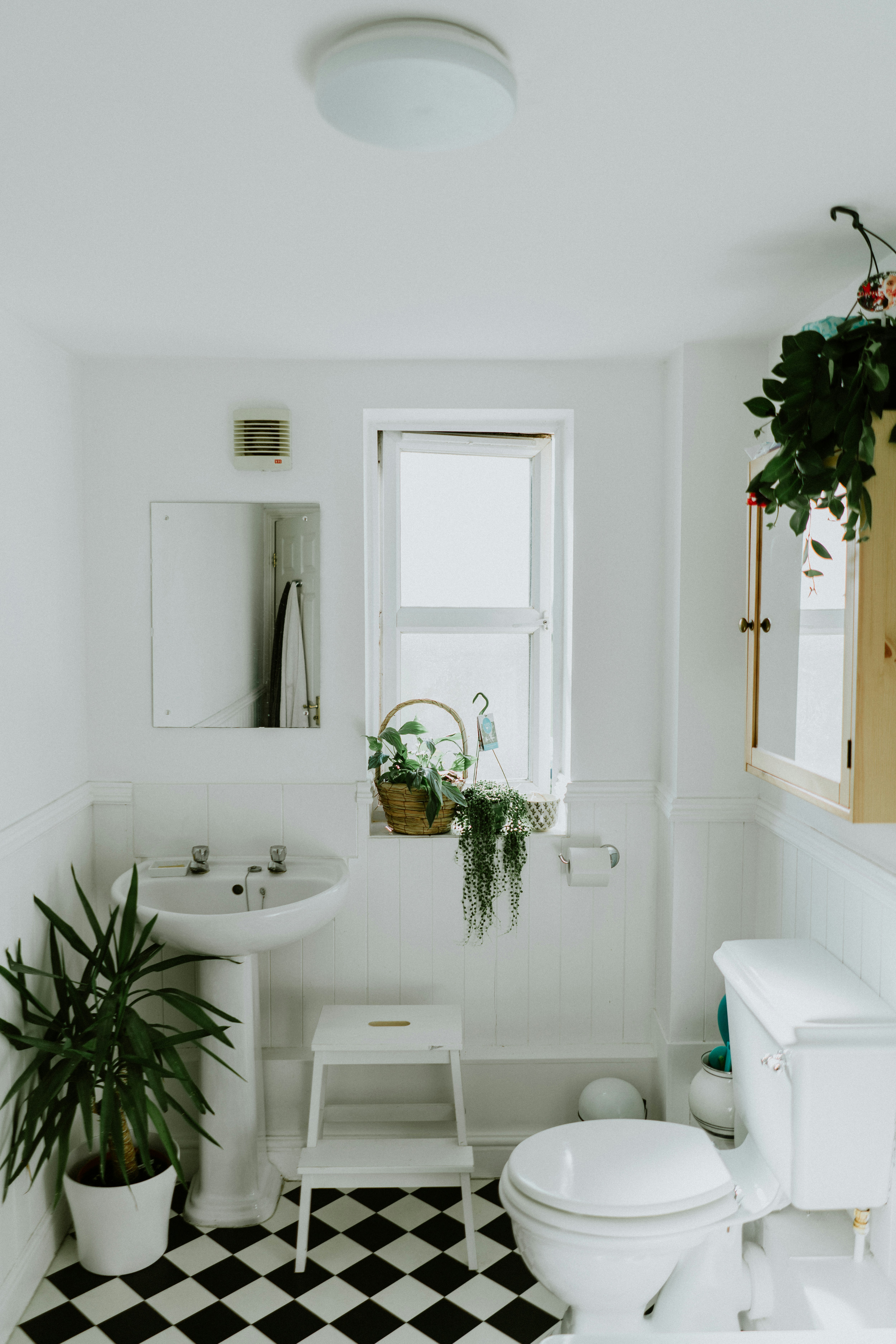 Tiny Bathroom? Top Space-Saving Toilets You Need! Tiny Bathroom? Top Space-Saving Toilets You Need!