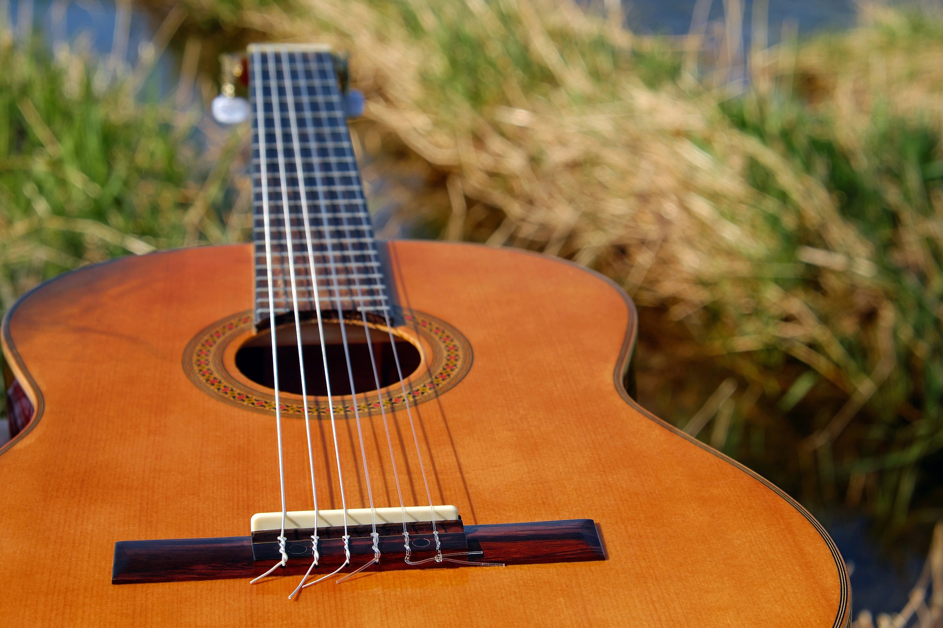 Guitar in grass Guitar in grass