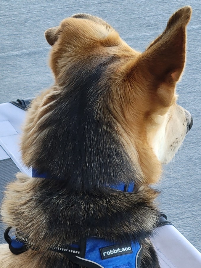 Shawn, Joanne, and Frankie