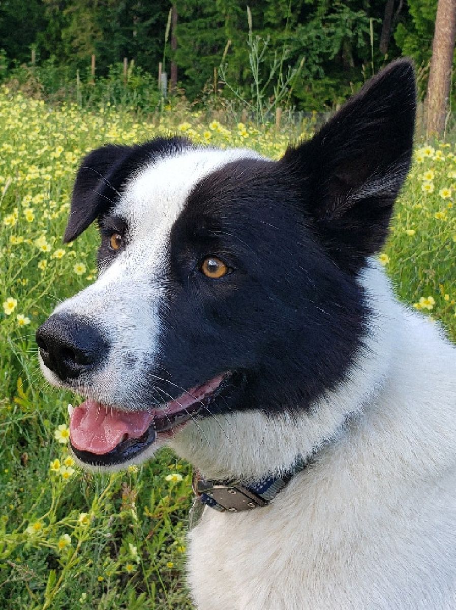 Lena, Ross, and Norbu