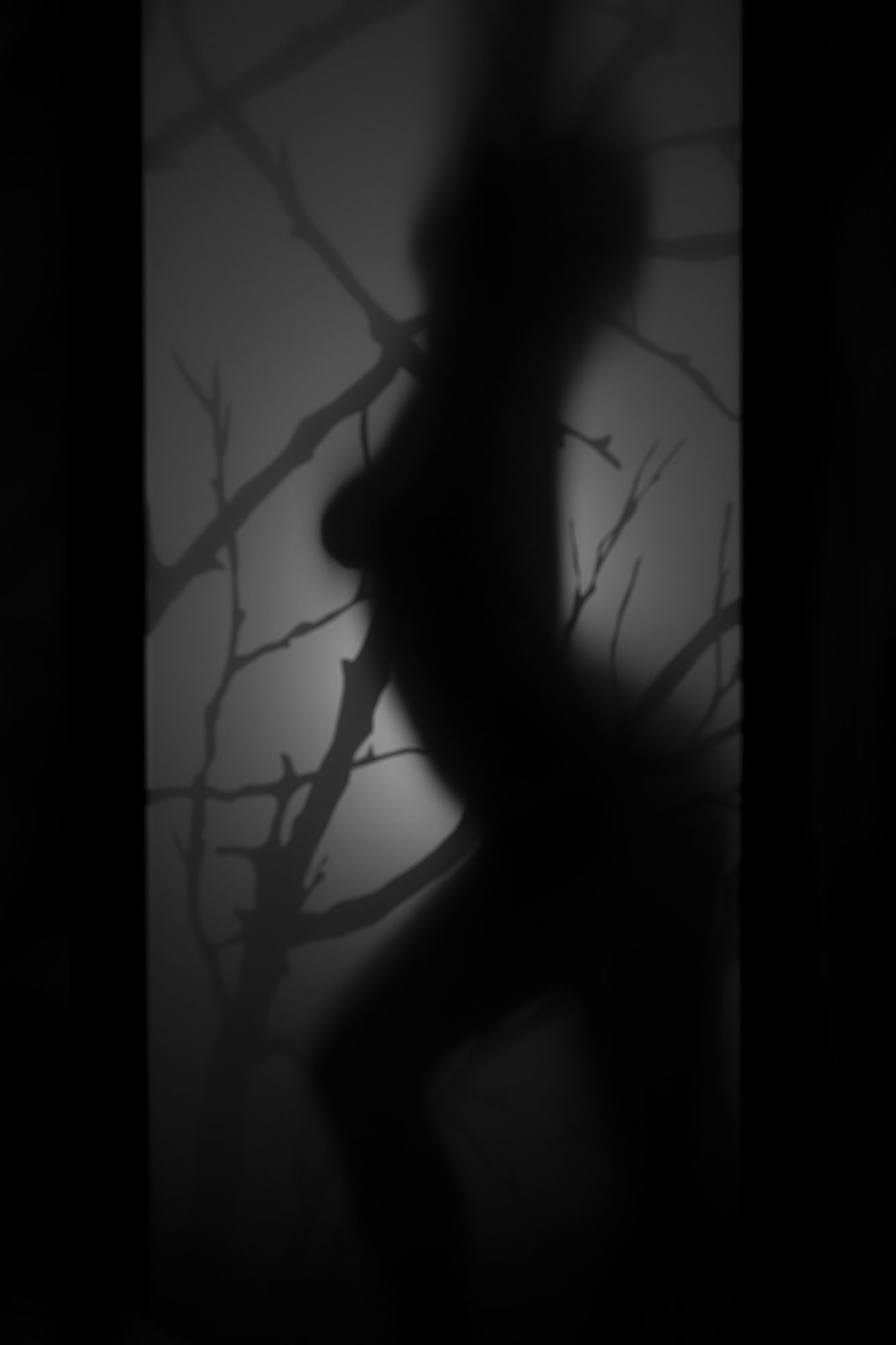 Silhouette of a woman standing behind a screen 