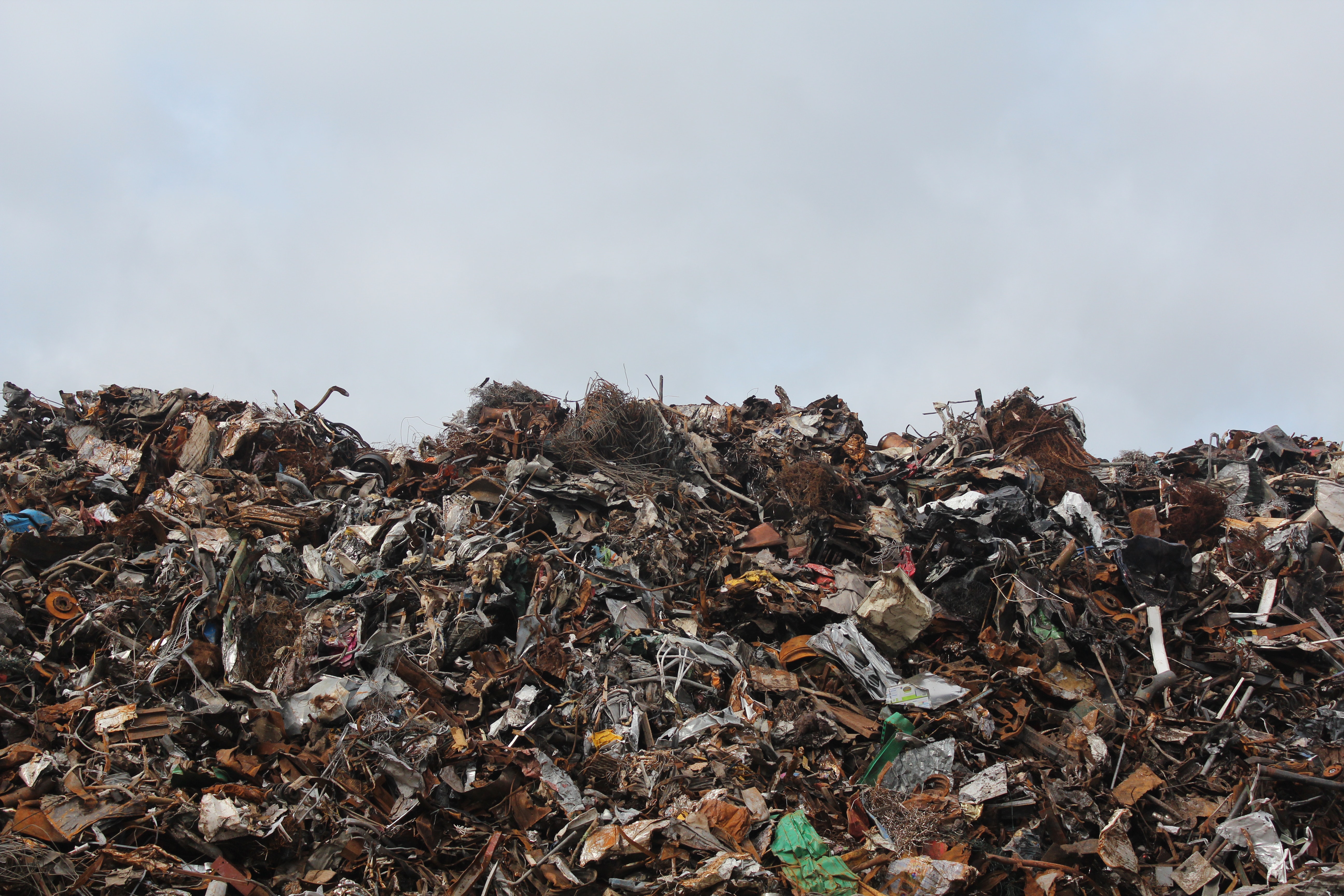 Toxic Waste Landfill Clean-Up