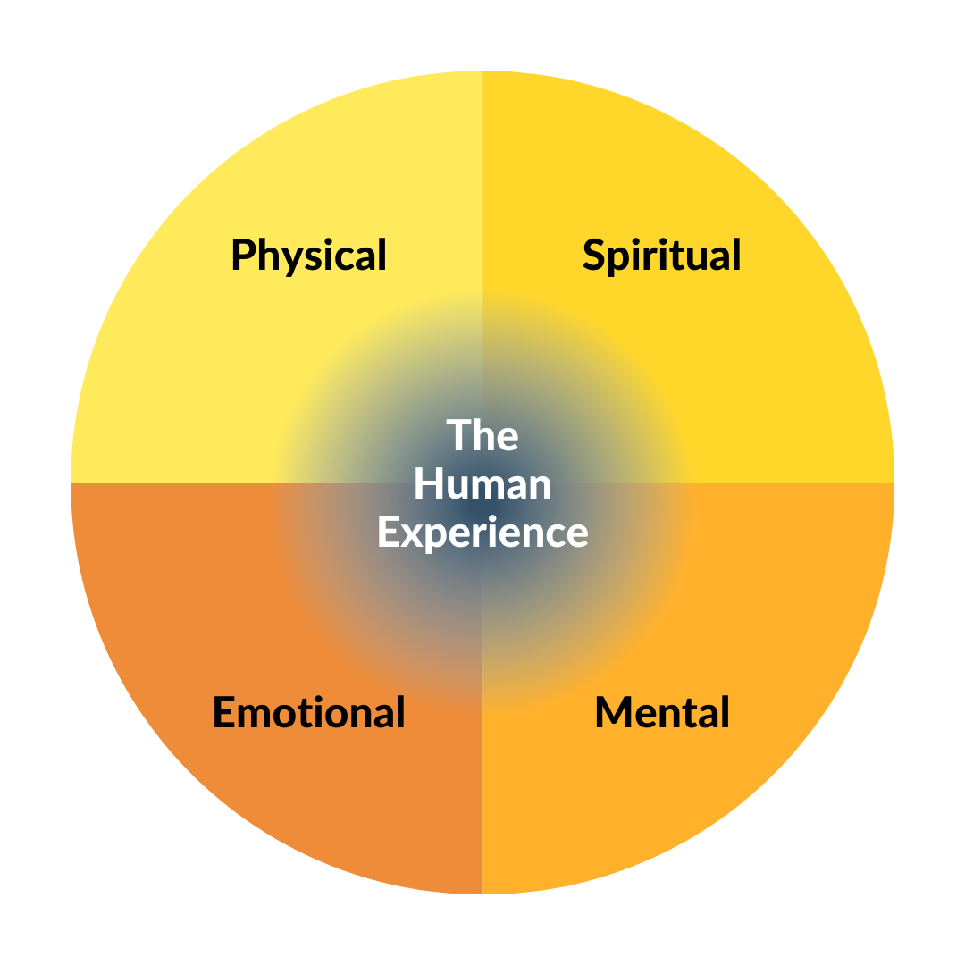 The Human Experience