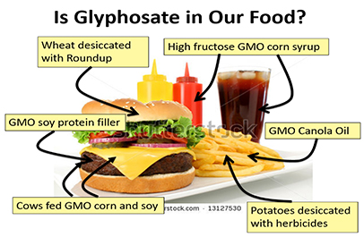 glysophate is whats for dinner