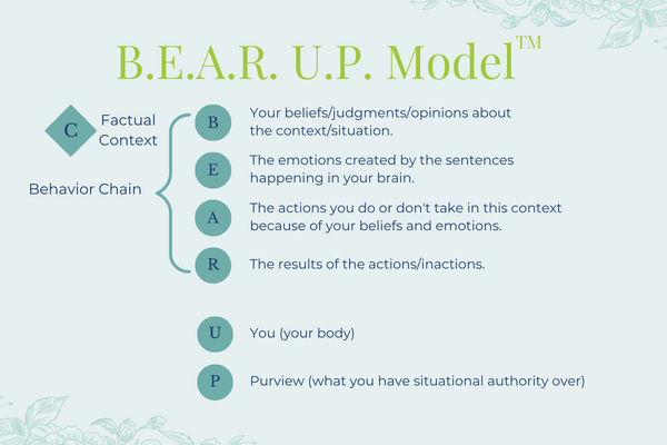 Illustraction of the BEAR UP Model