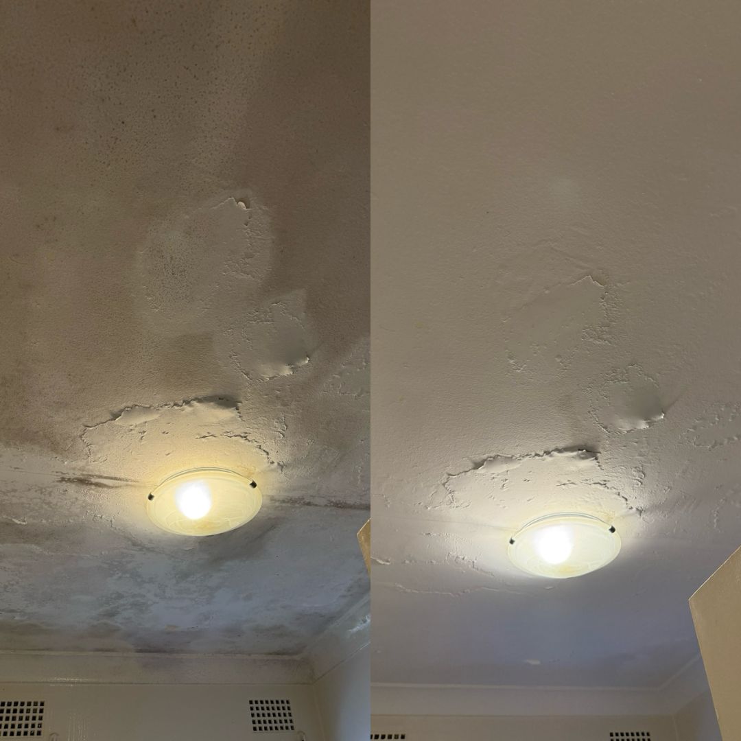 Wall Cleaning Wall Cleaning