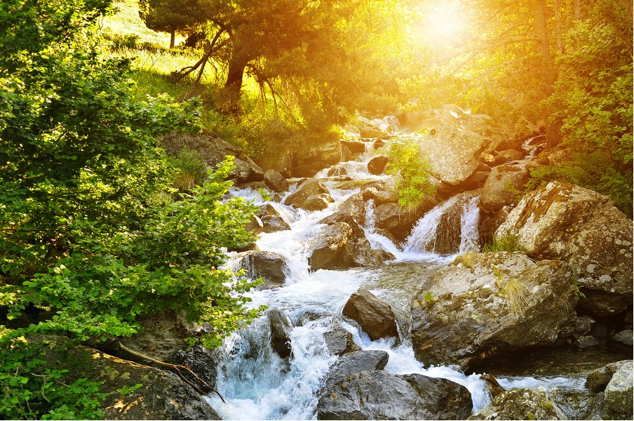 The Discipline of Flow