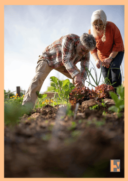 outdoor gardening.png outdoor gardening.png