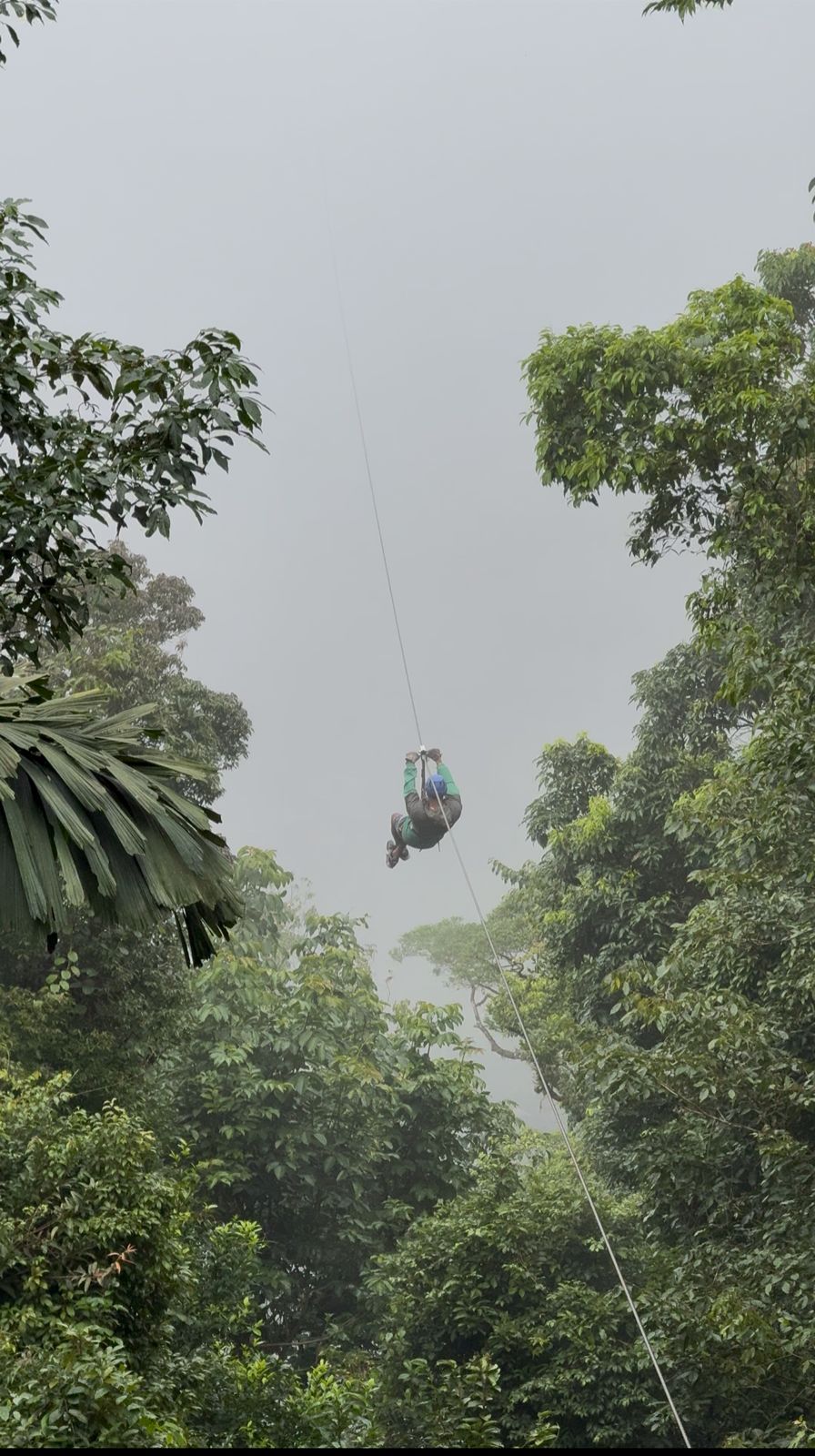 Zipline