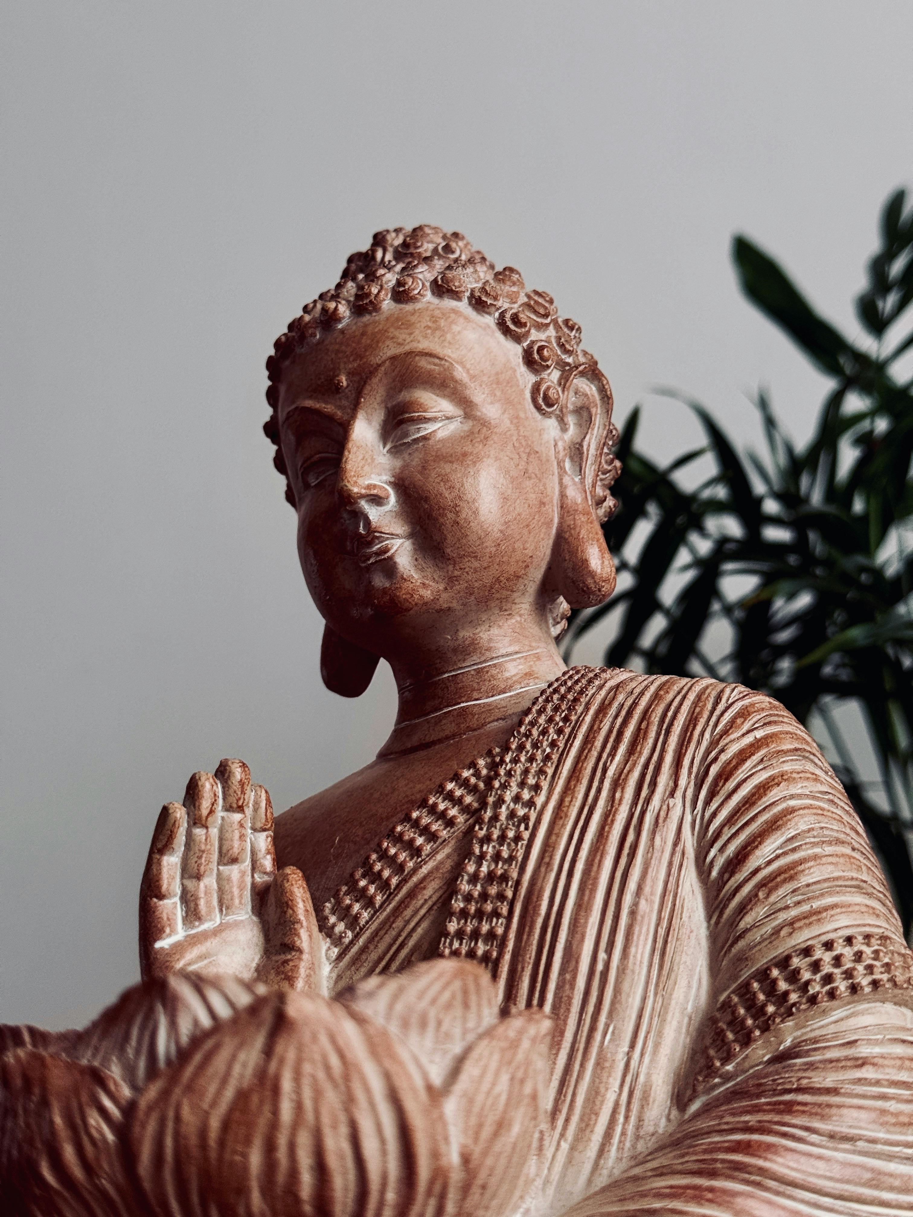 Yoga & Wellness