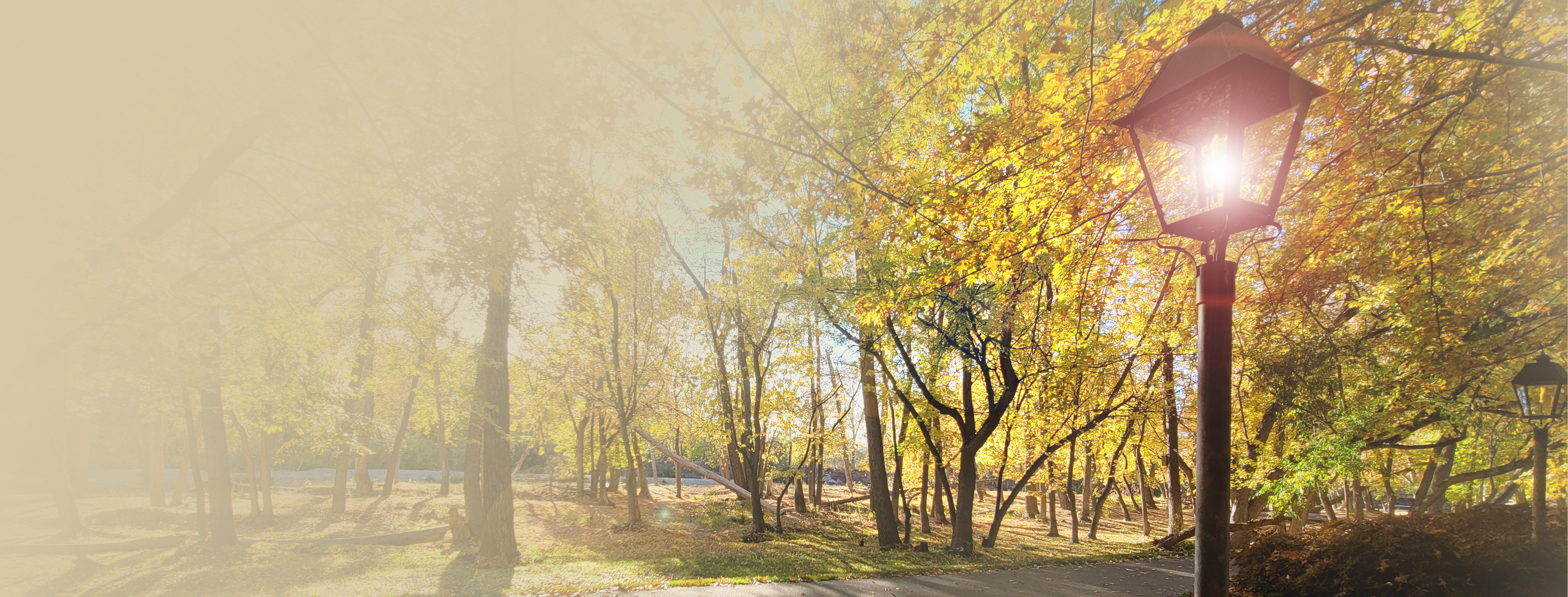A path through fall foliage with a garden lamp