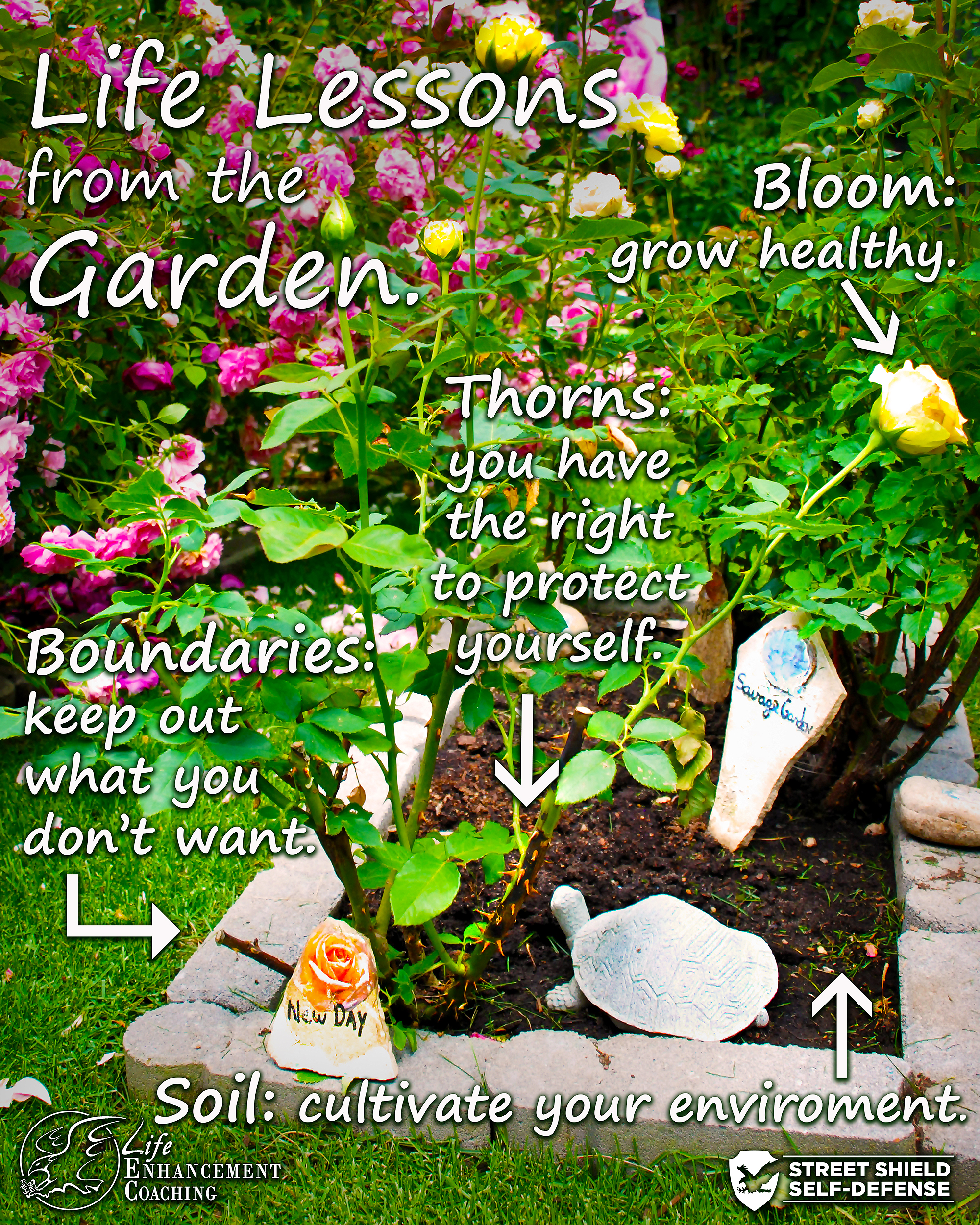 Life Lessons from the Garden