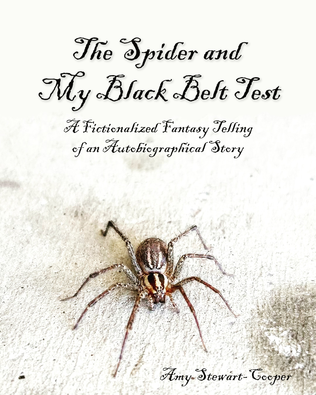 Mock up book cover featuring a wolf spider