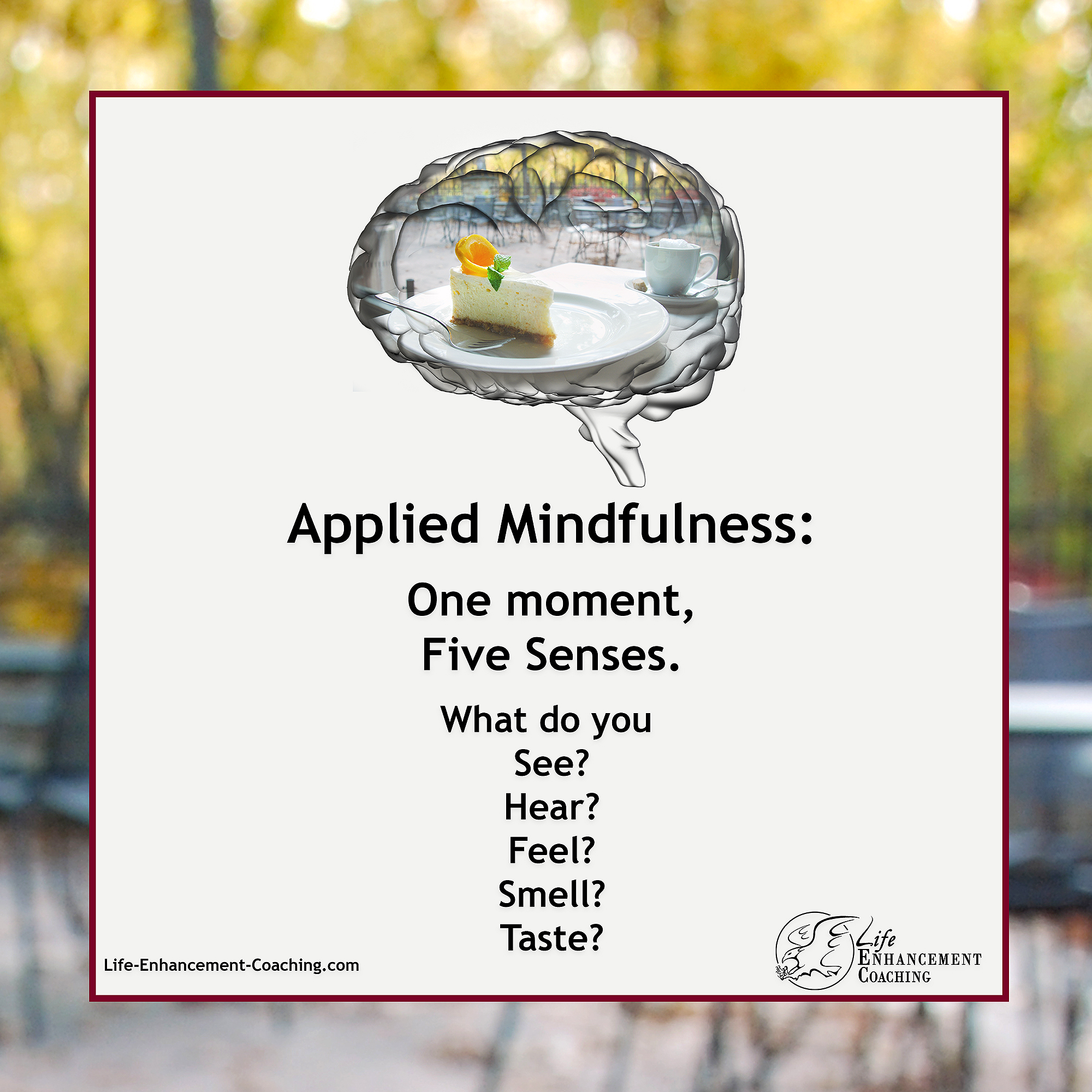 One Moment Five Senses