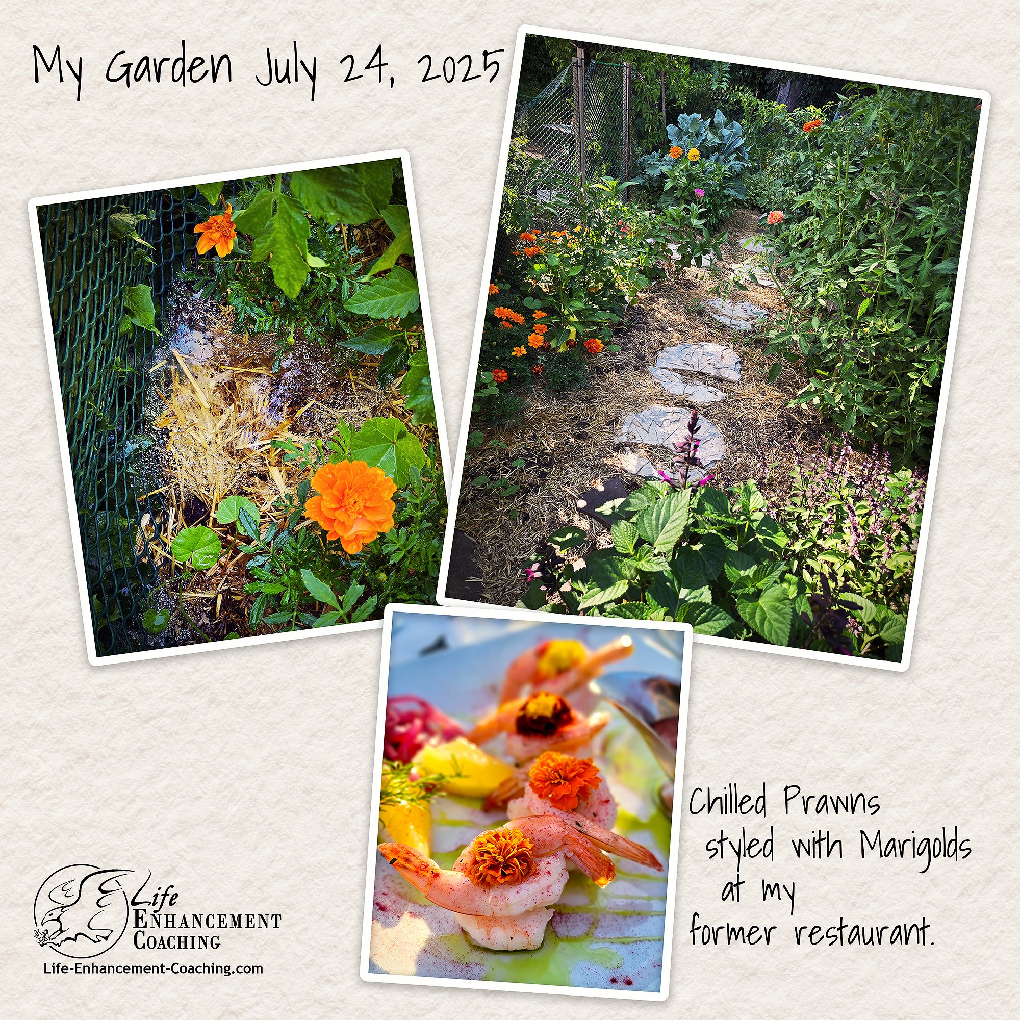 Gardening is Antifragile