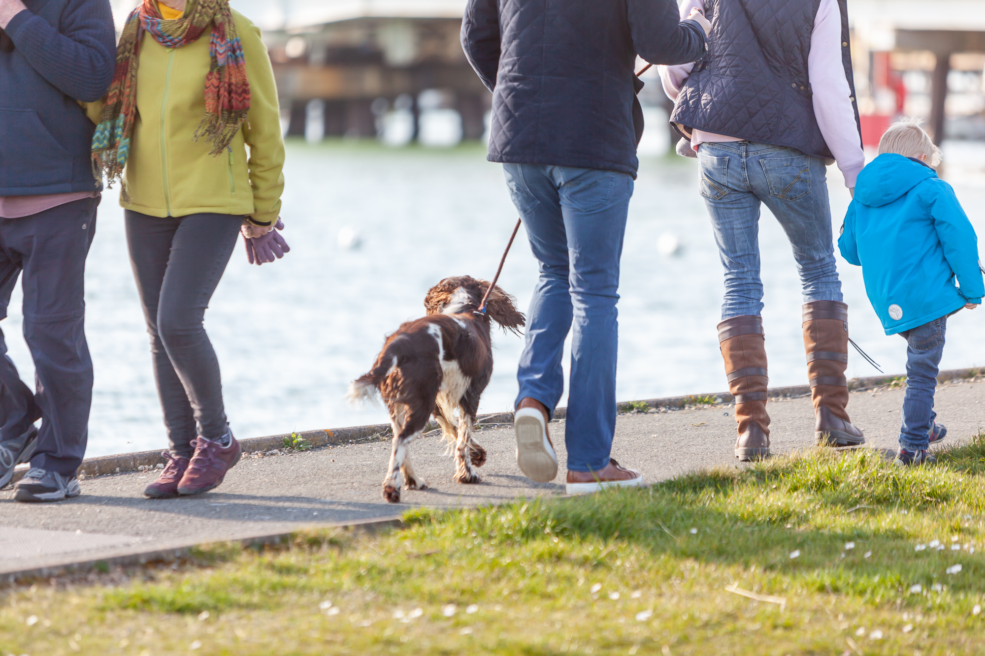 “Couple walking dog along the coast near Shanklin on a sunny winter afternoon. “Couple walking dog along the coast near Shanklin on a sunny winter afternoon.
