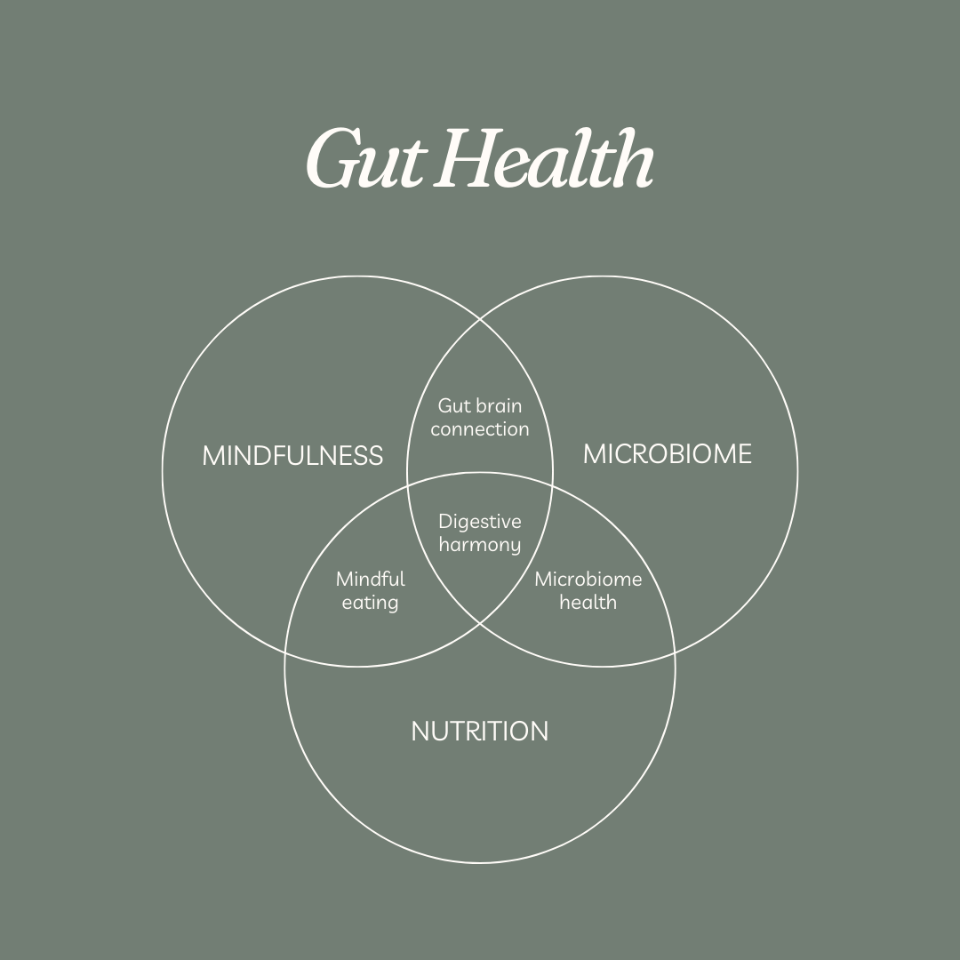 Your guide to your gut health 