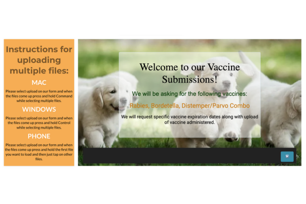 Vaccine Management: Keeping Pets Healthy and Safe