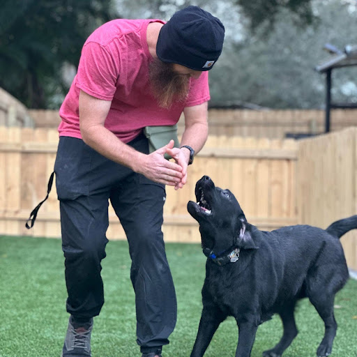 From Game Warden to Dog Trainer: Brandon Hadwin’s Journey | K9 Parent Training | Pet Biz Podcast Ep.12