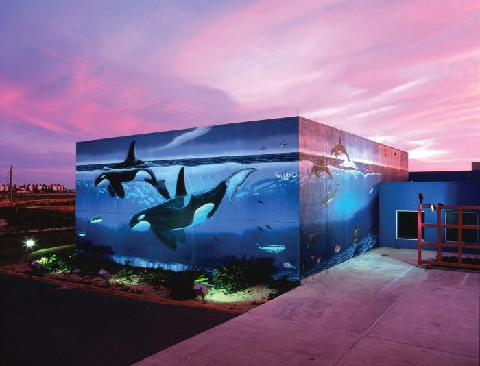 SPI Orca Mural SPI Orca Mural