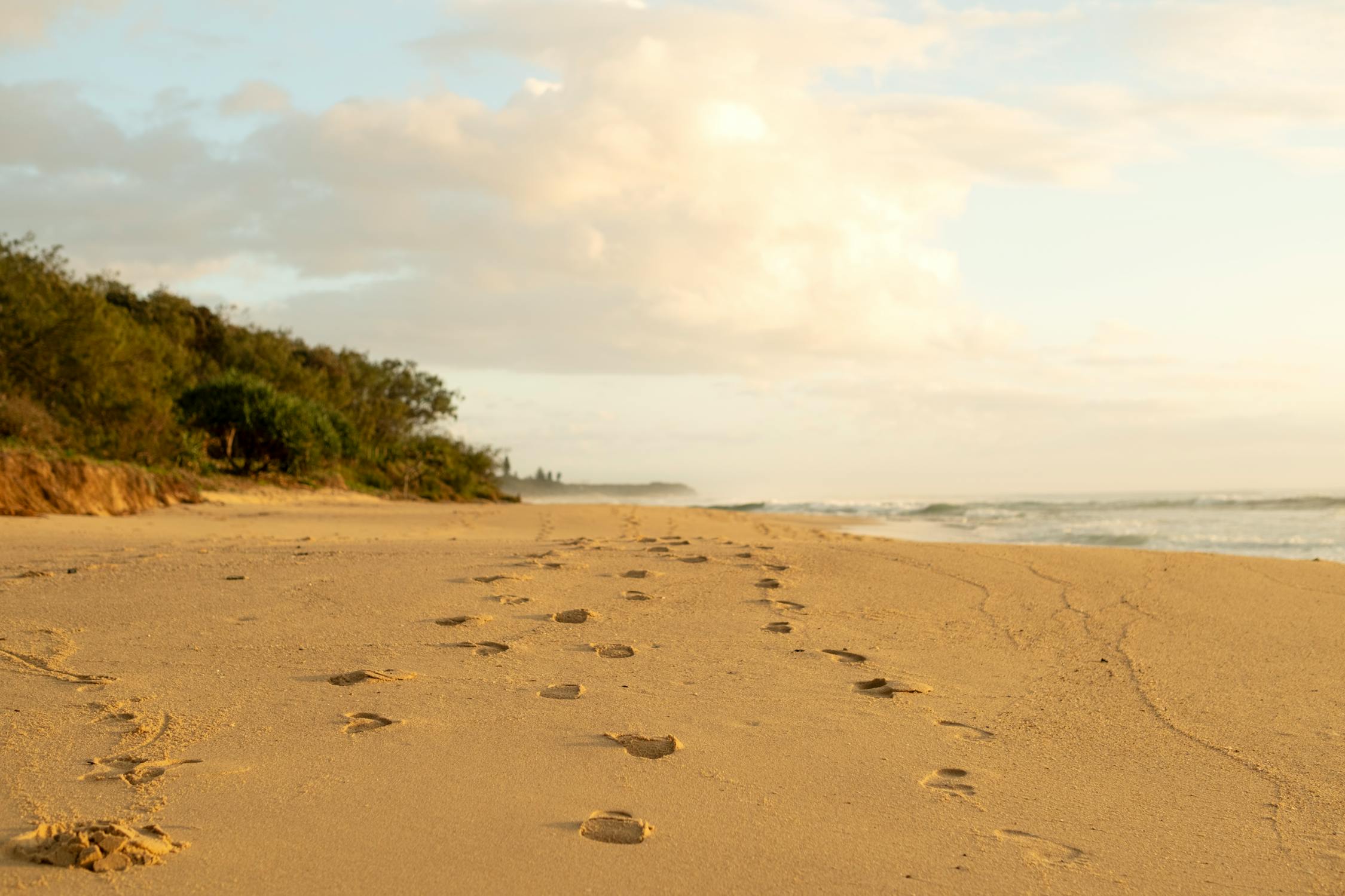 Footprints on the beach Footprints on the beach