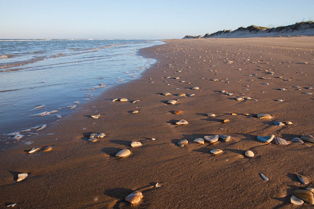 SPI Shoreline SPI Shoreline