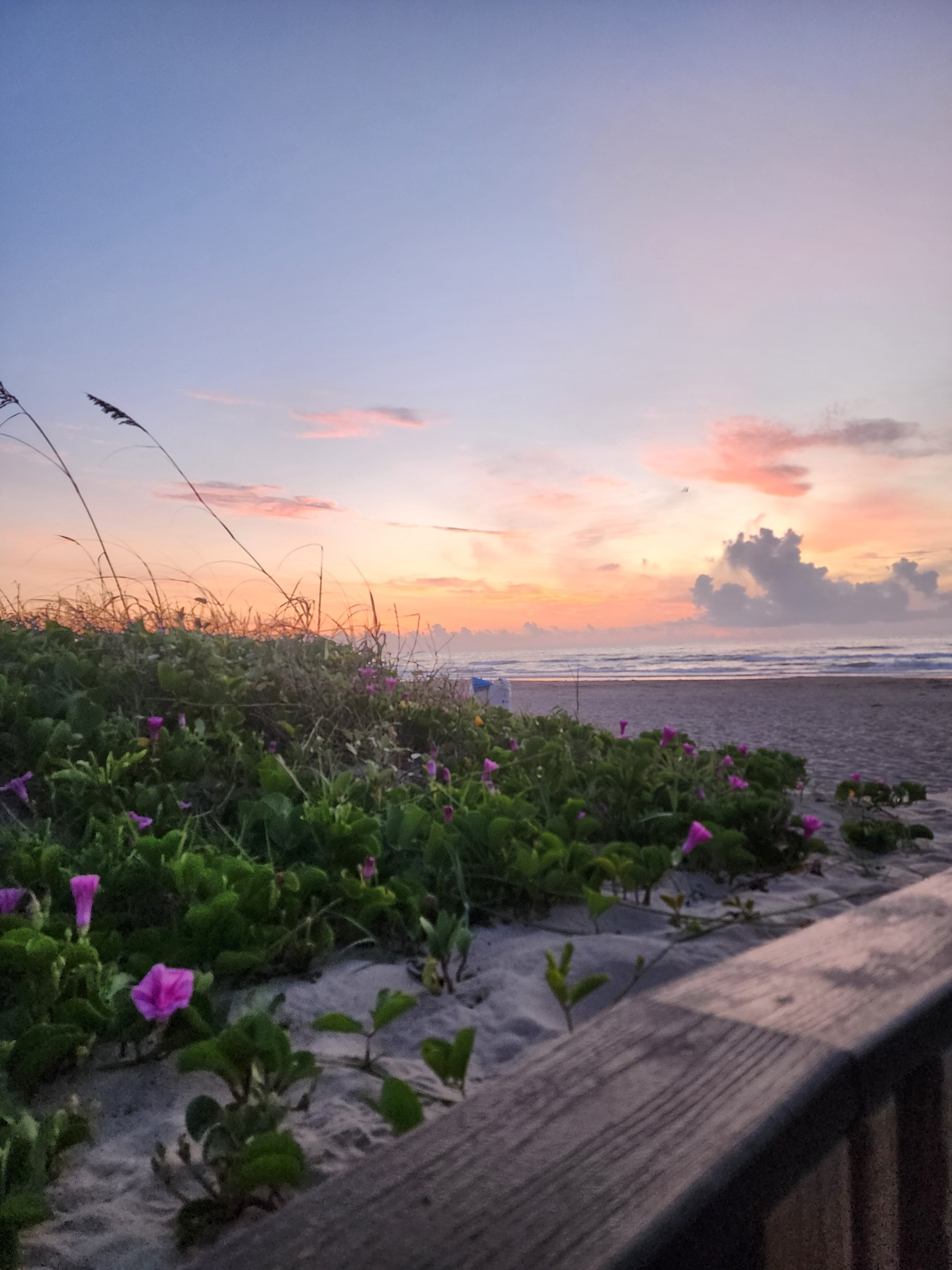 South Padre Island Beach