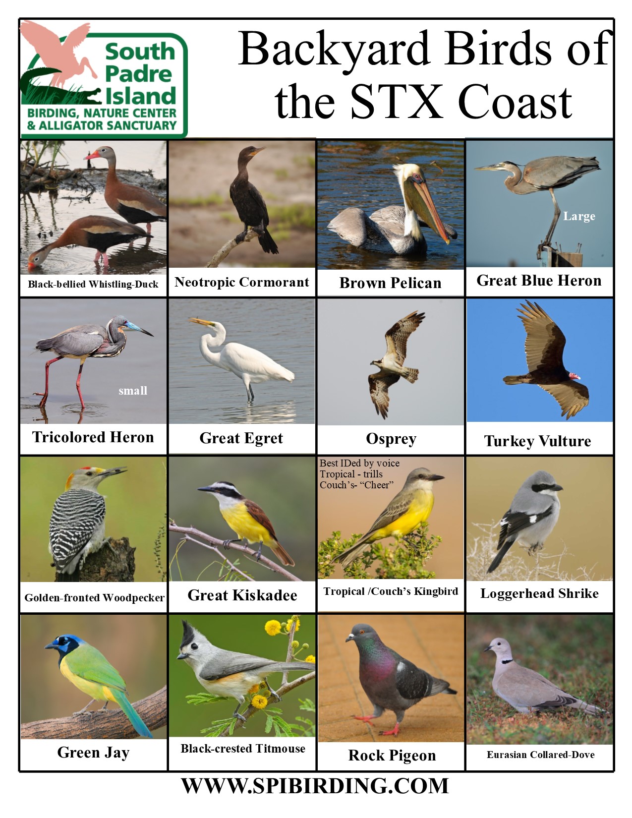 SPI Birding Center SPI Birding Center