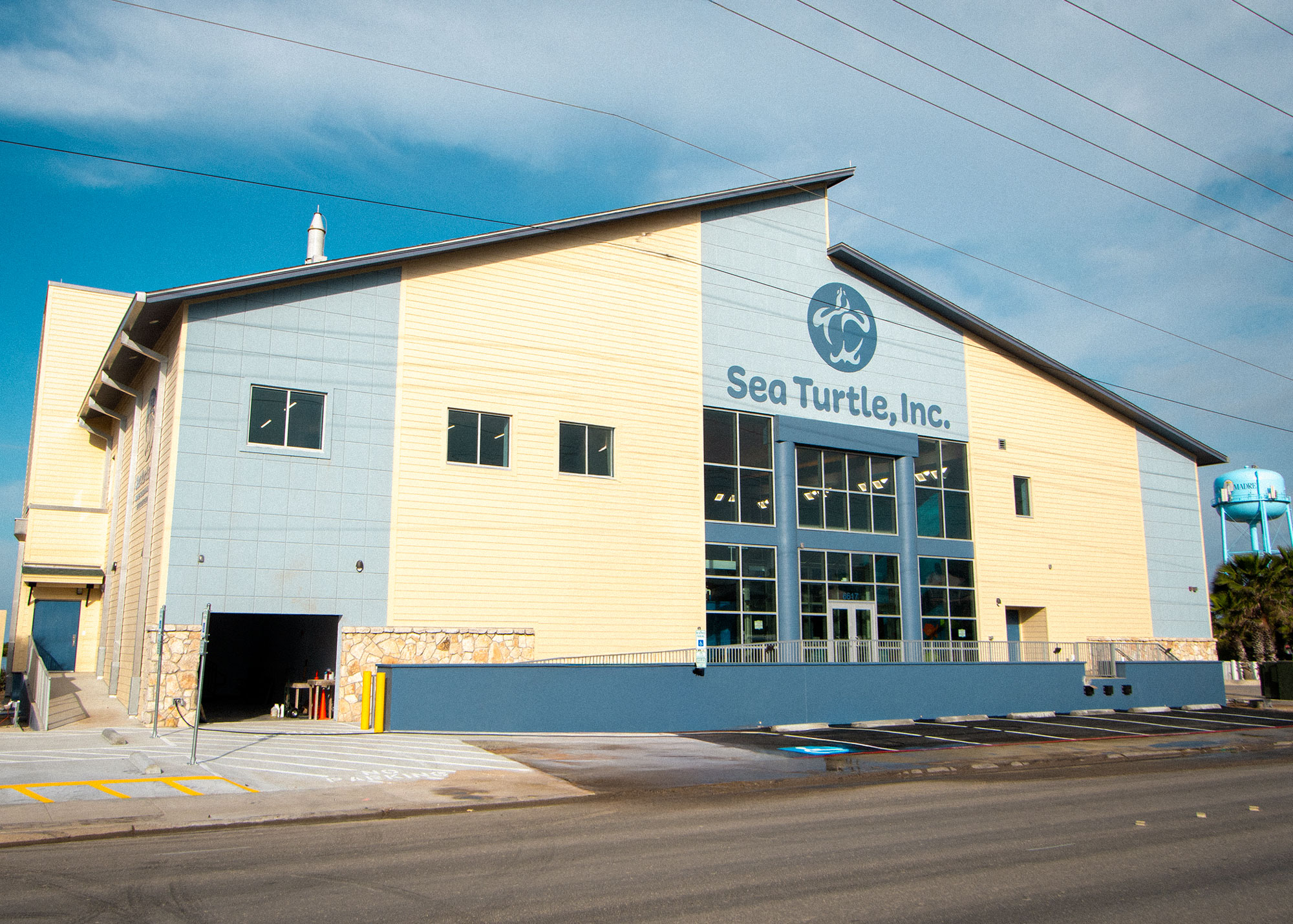 Sea Turtle Inc. Sea Turtle Inc.