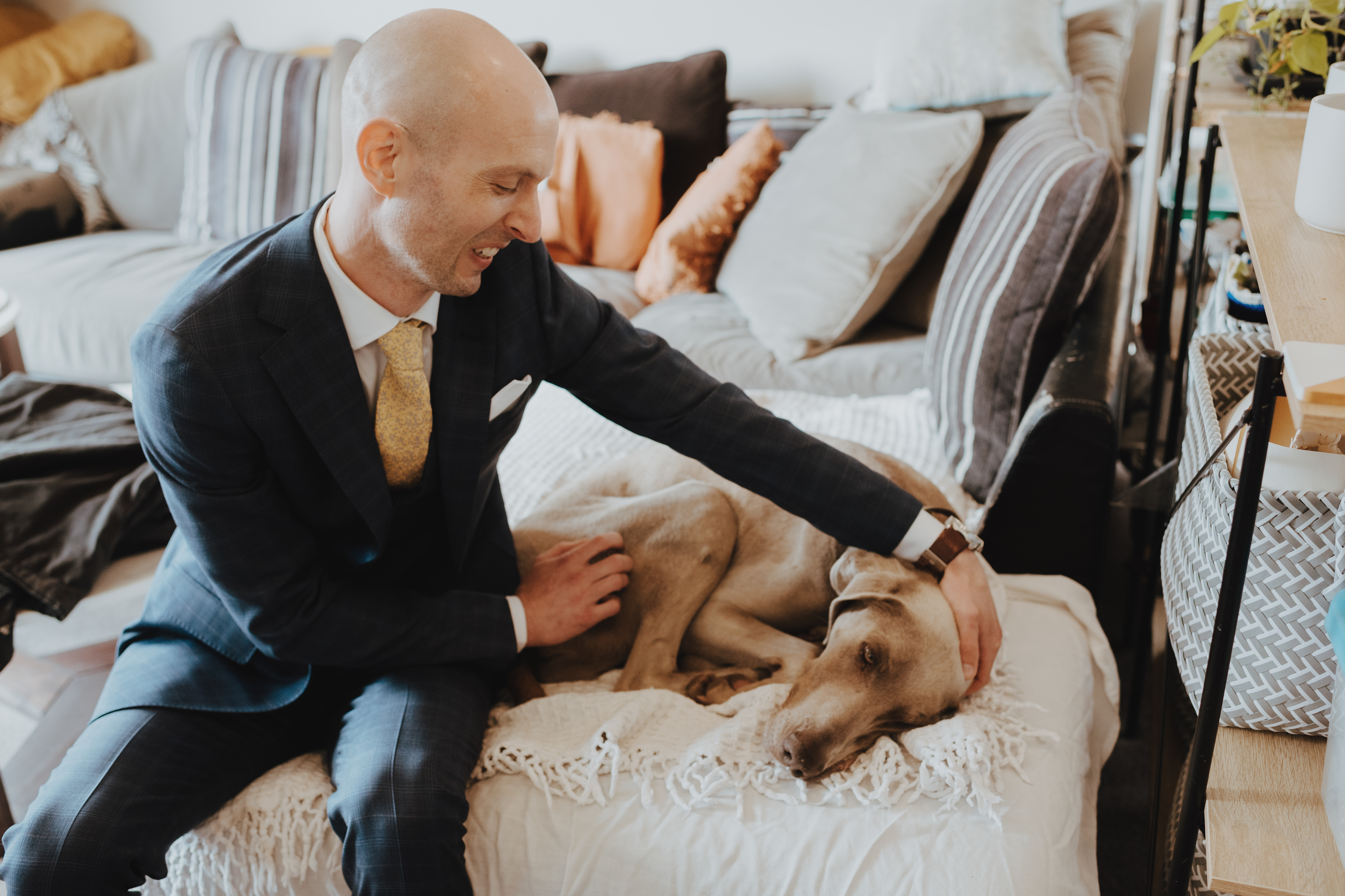 groom and his weimeraner