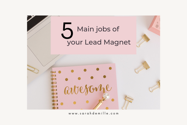 5 jobs of a lead magnet