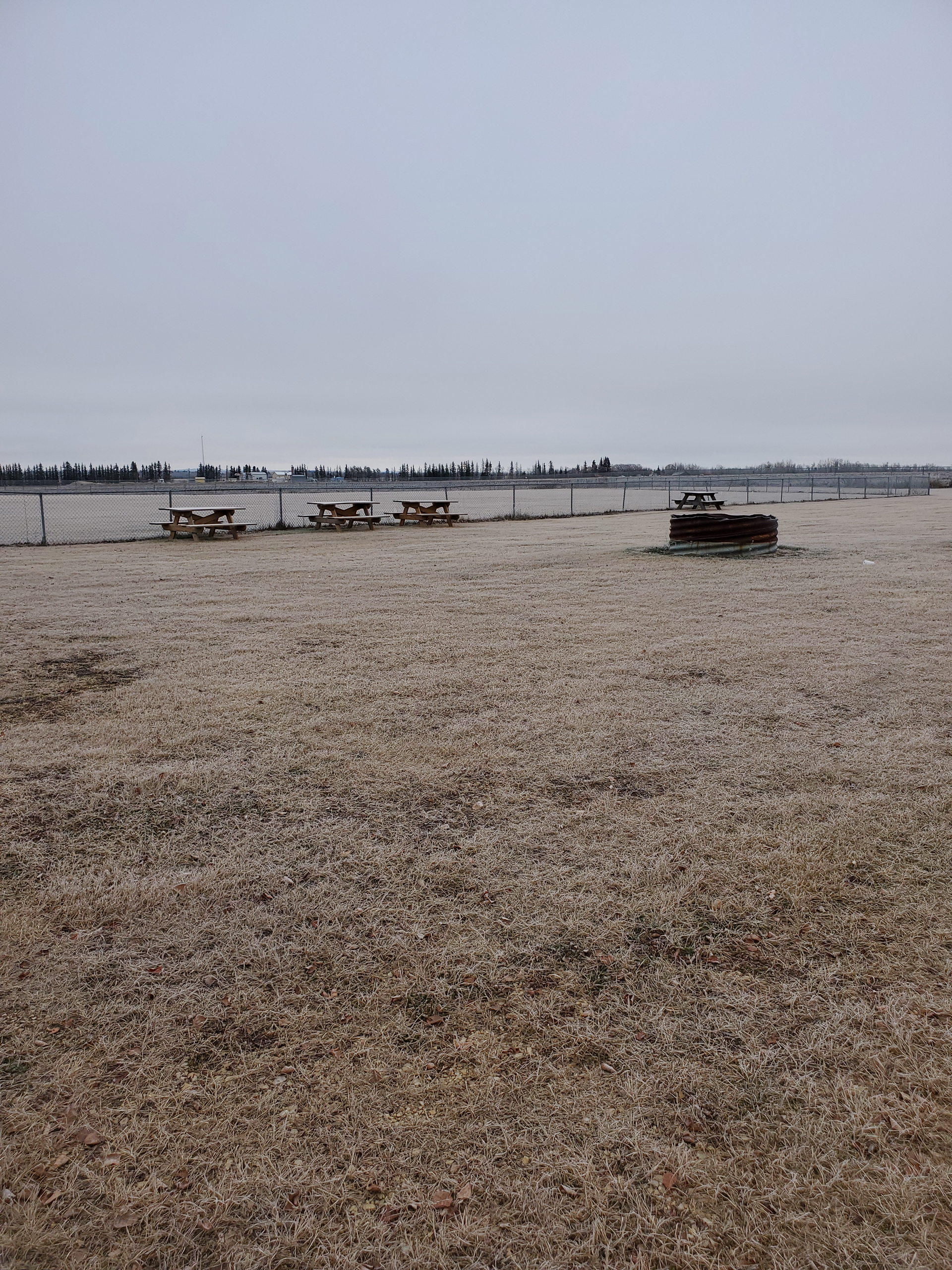 Fire Pit & Picnic Tables