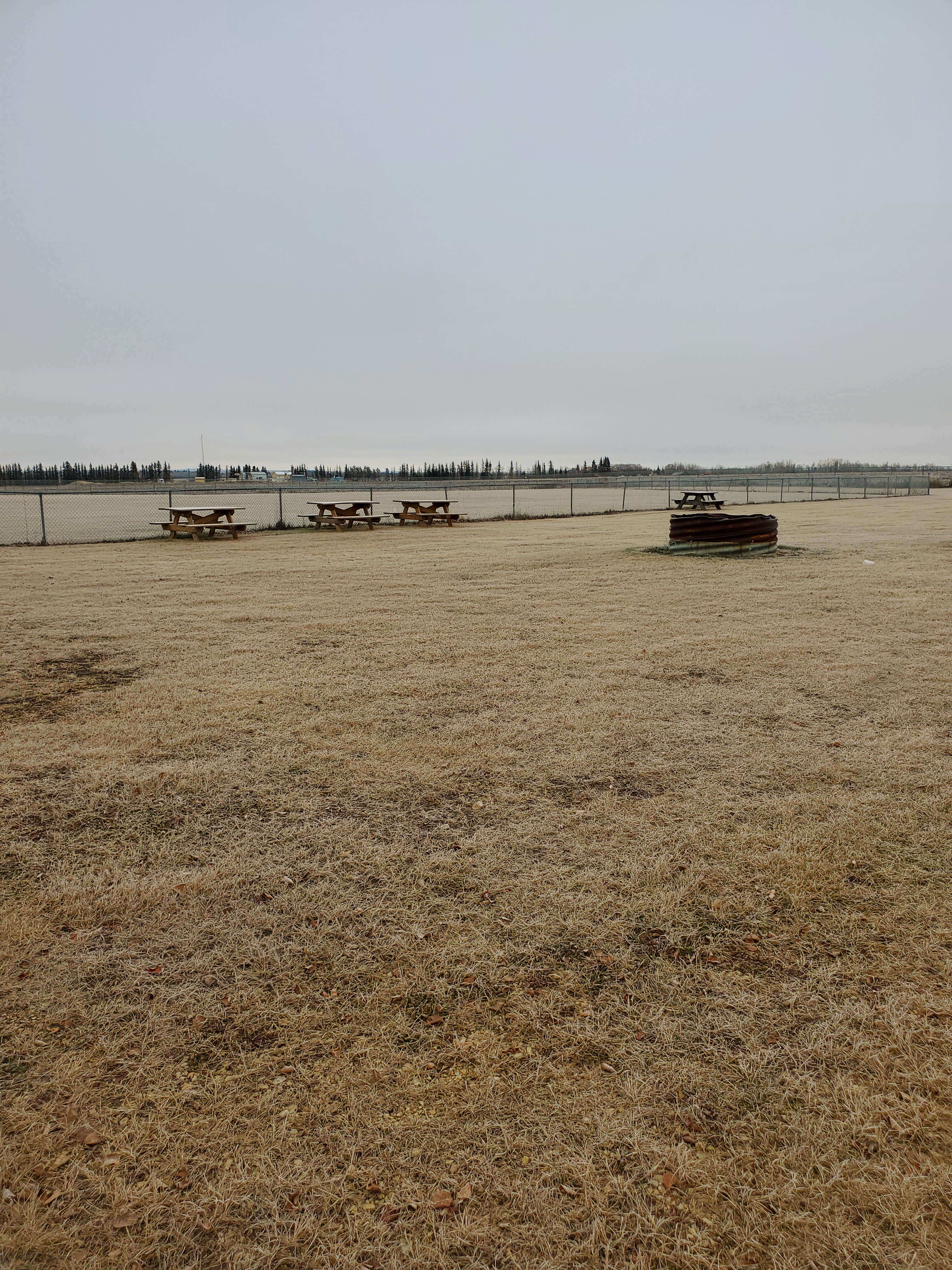Fire Pit & Picnic Tables