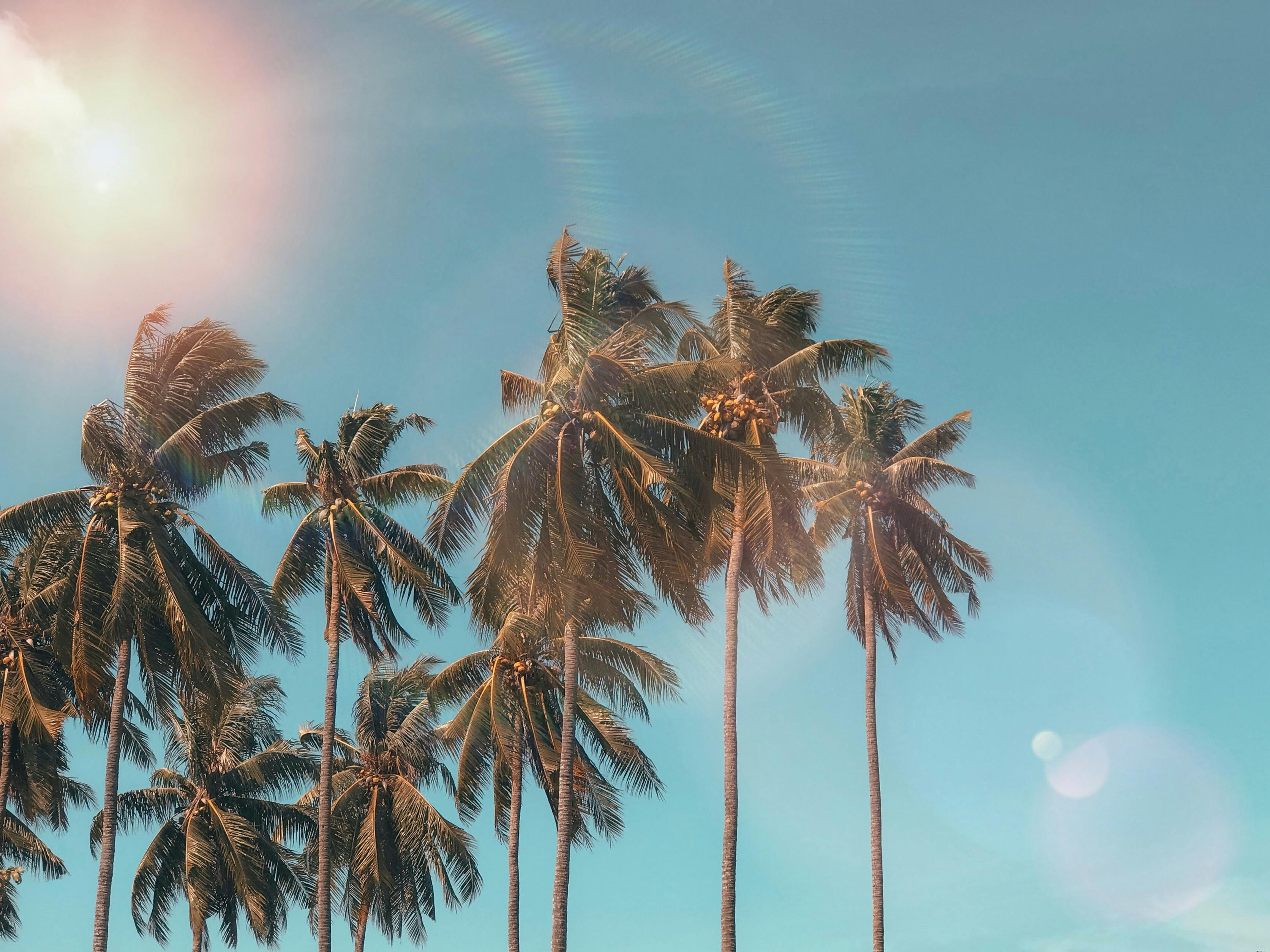 Age Vibrantly This Summer