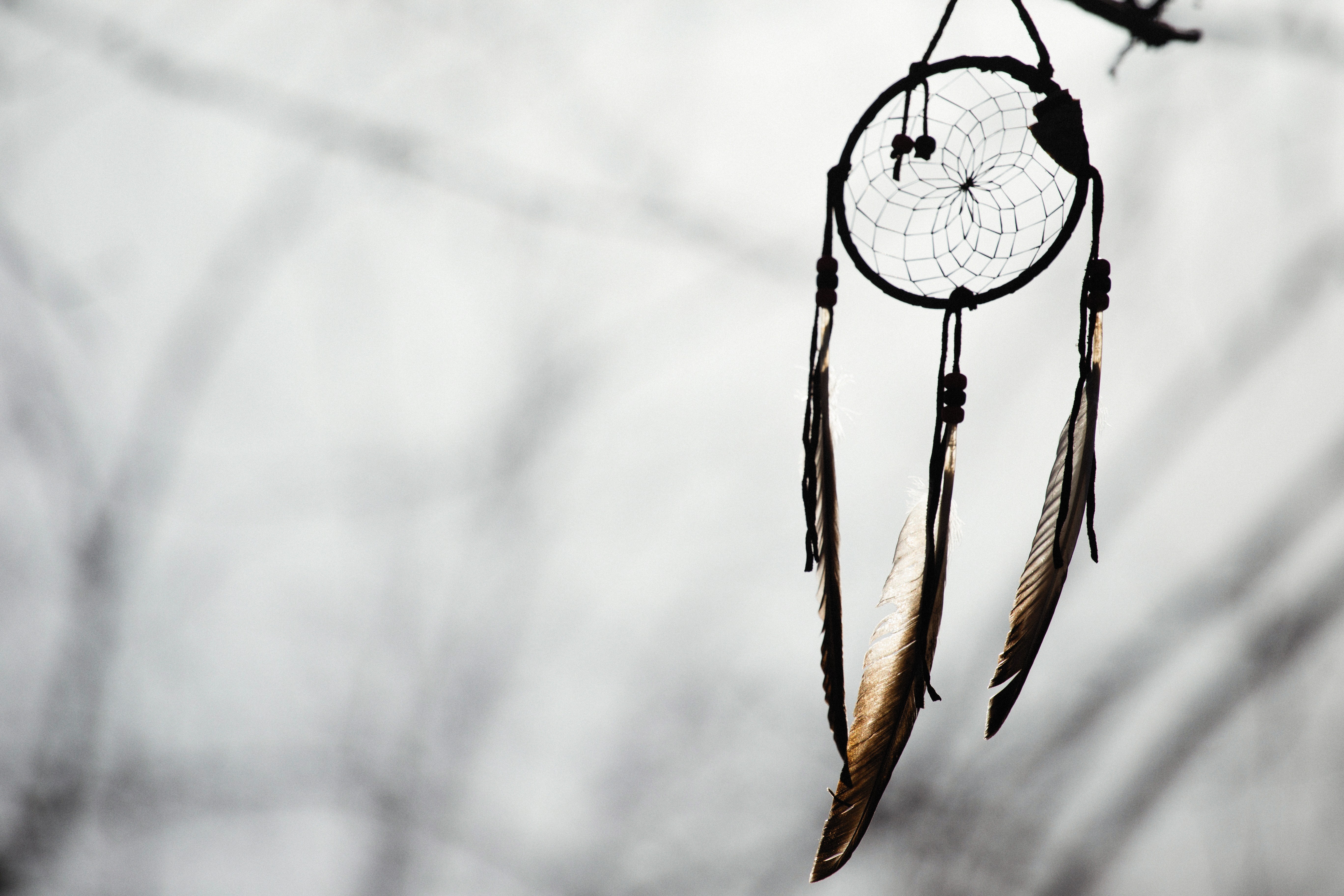 Dream Catcher