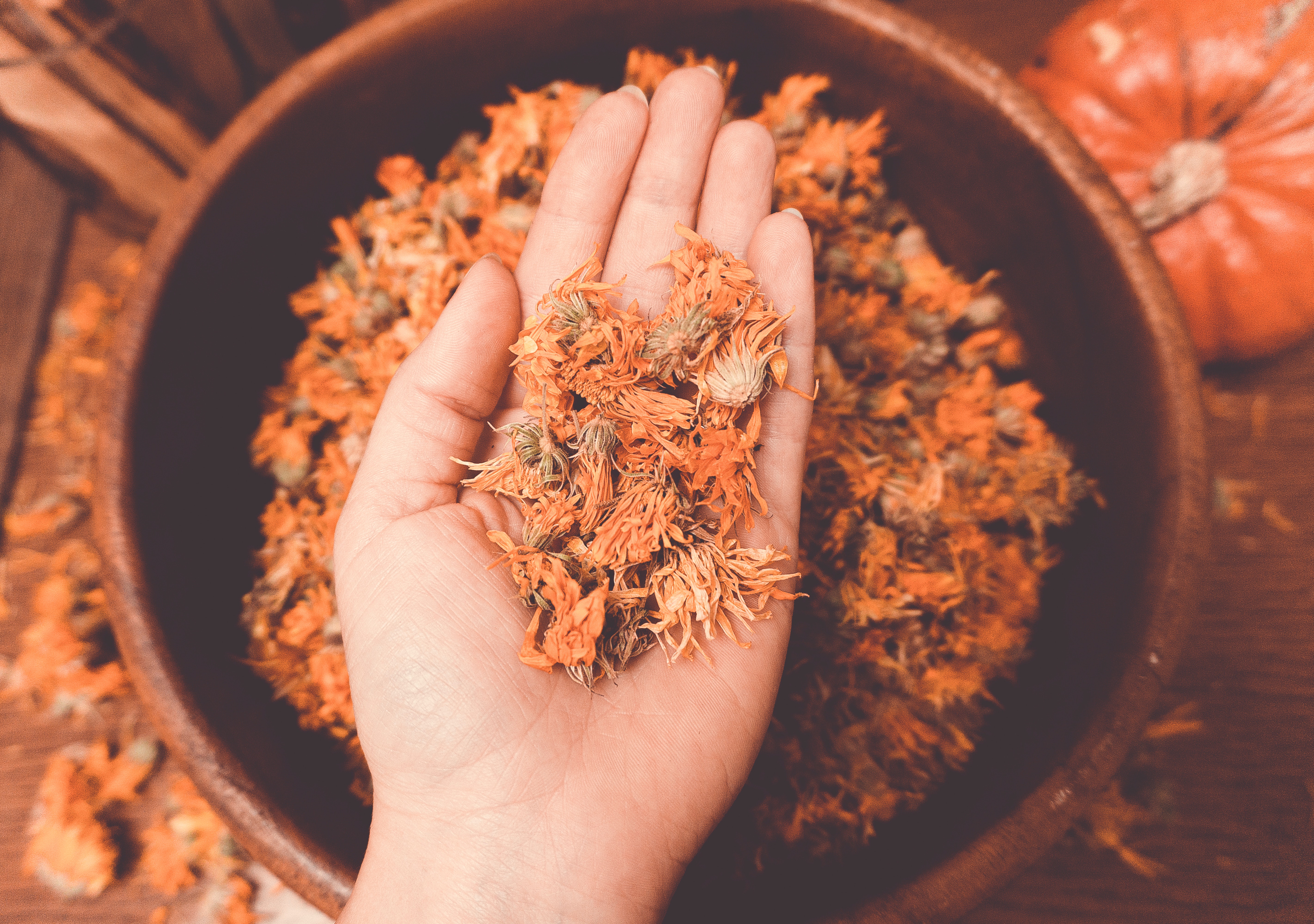 Dried Calendula Flowers