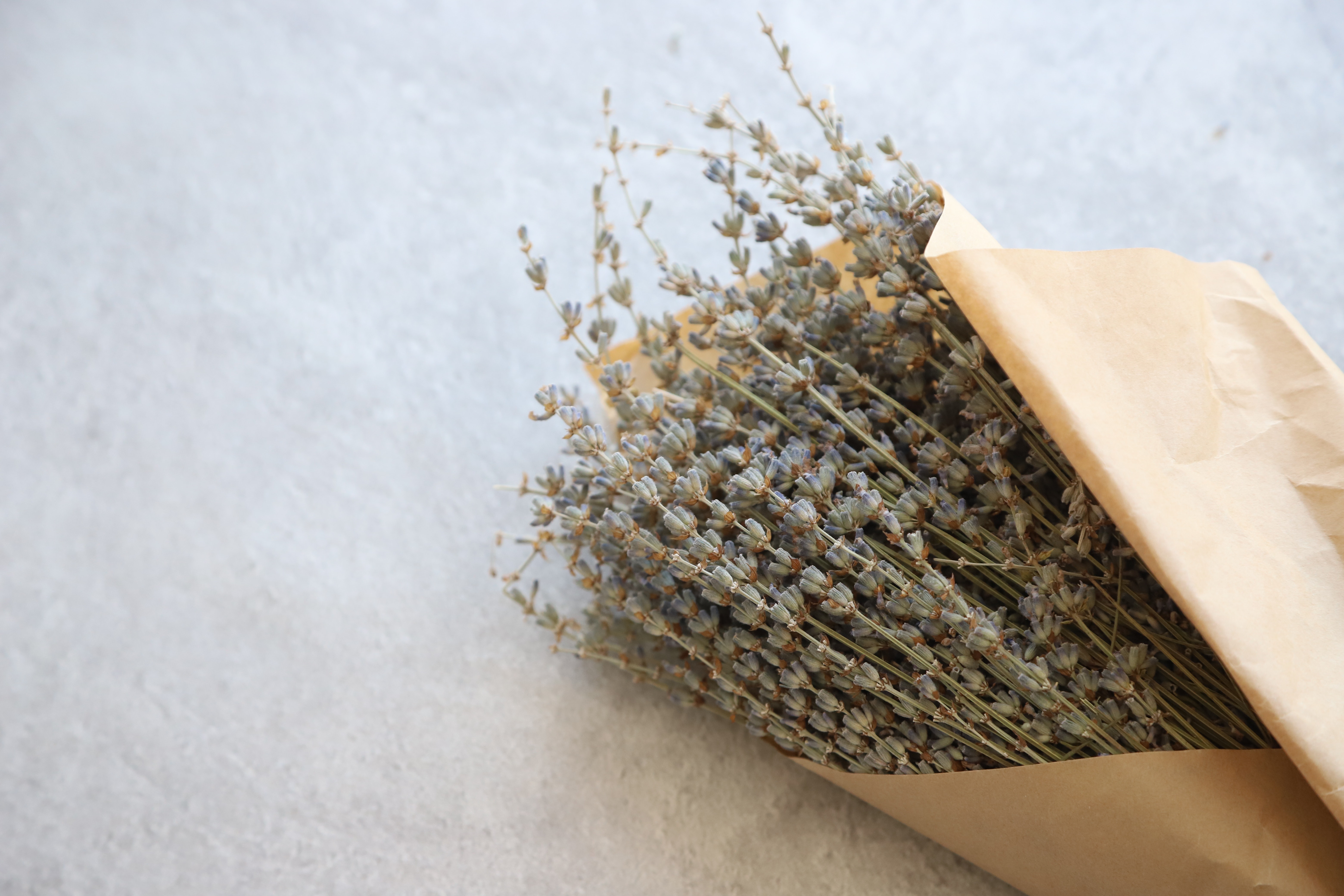 Dried Lavender Flowers