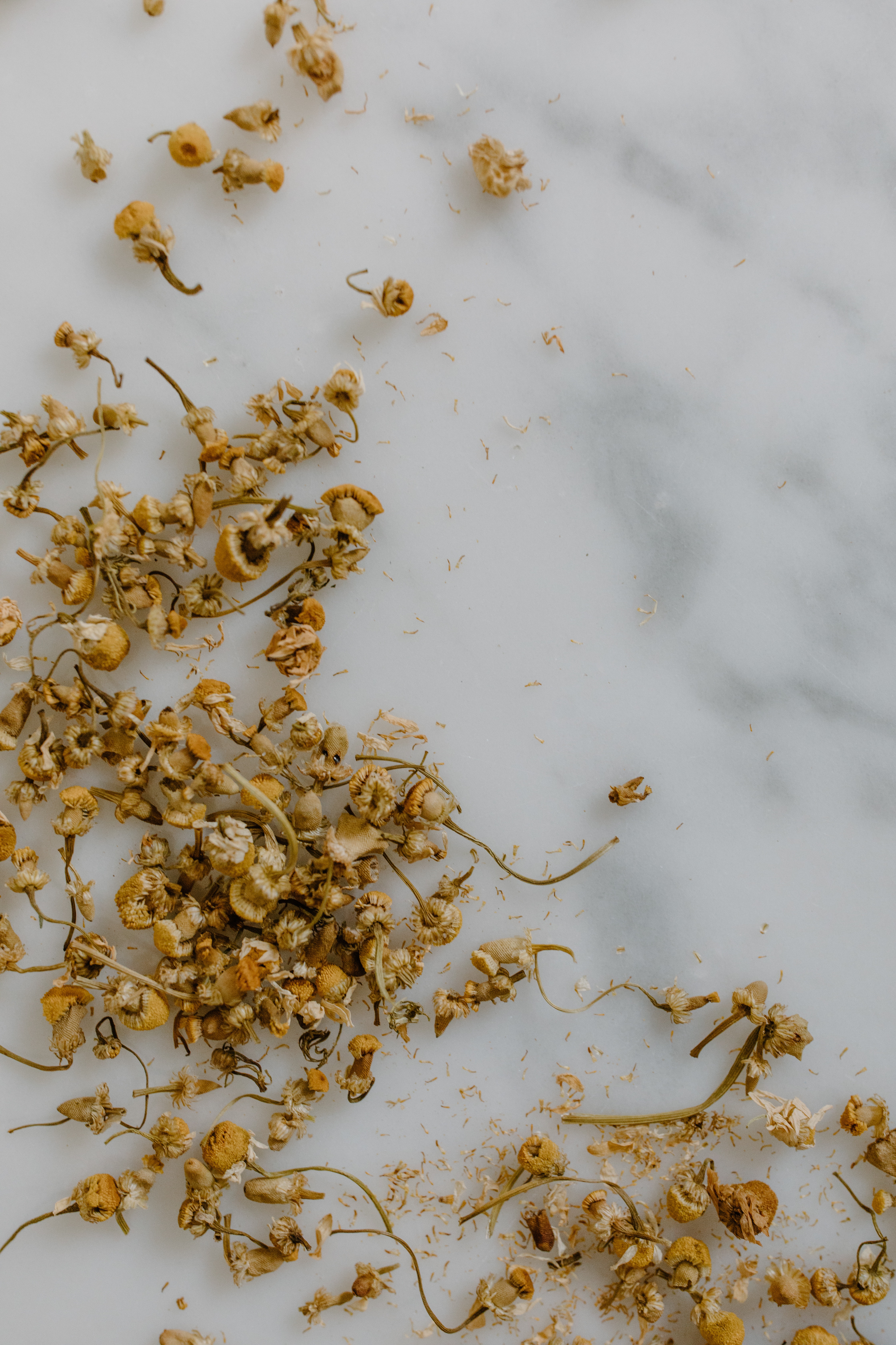 dried chamomile