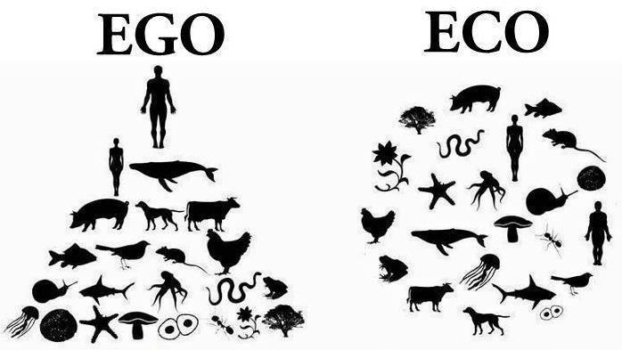 ego vs eco