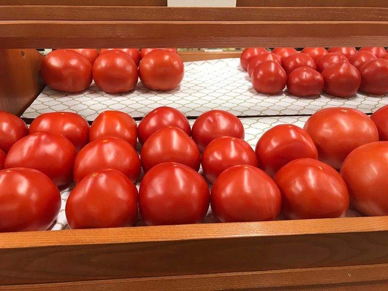 Rocky Hill Produce Farm