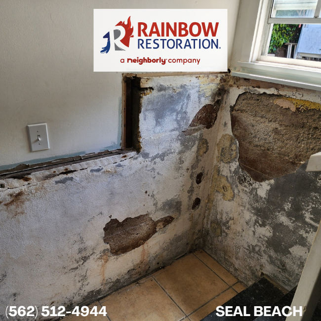 hawaiian-gardens-restoration-services-rainbow-restoration-of-seal-beach-8