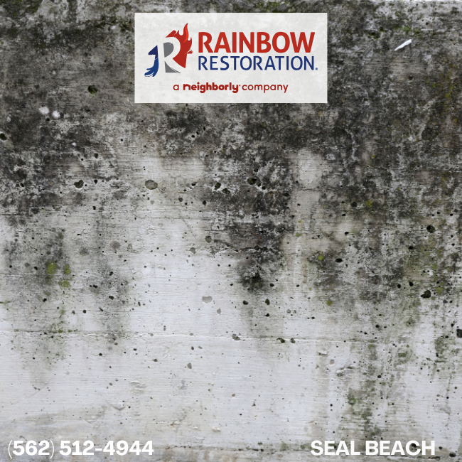  signal-hill-mold-removal-rainbow-restoration-of-seal-beach-5