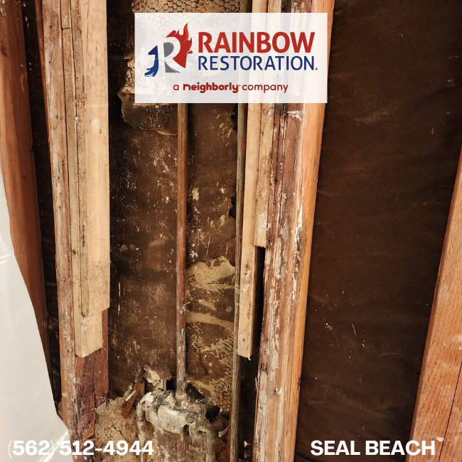 lakewood-restoration-services-rainbow-restoration-of-seal-beach-2
