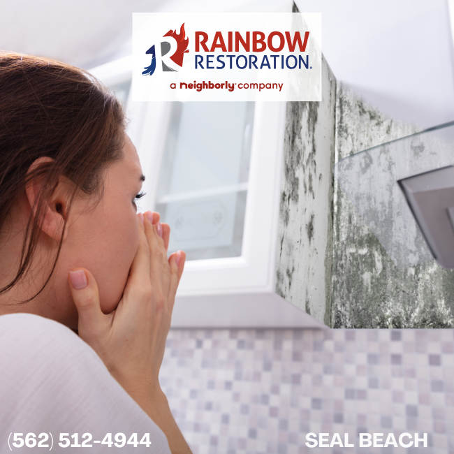 fountain-valley-mold-removal-rainbow-restoration-of-seal-beach-7