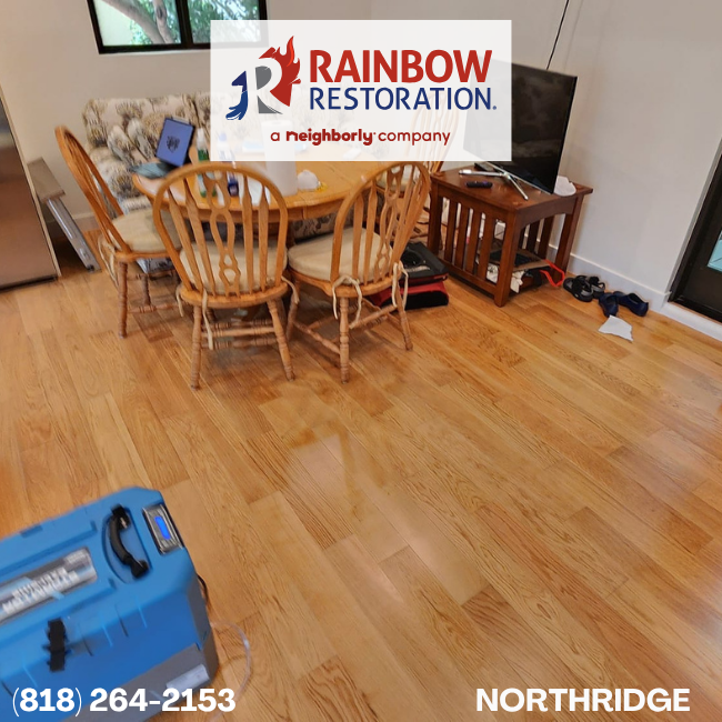  san-fernando-content-processing-rainbow-restoration-of-northridge-6