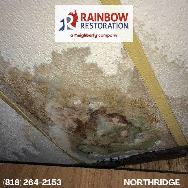  san-fernando-water-remediation-rainbow-restoration-of-northridge-11