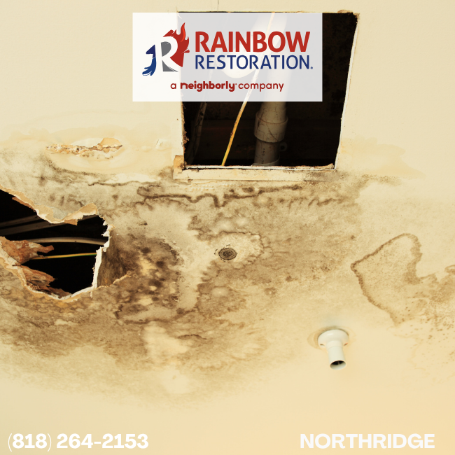 calabasas-home-restoration-services-rainbow-restoration-of-northridge-11