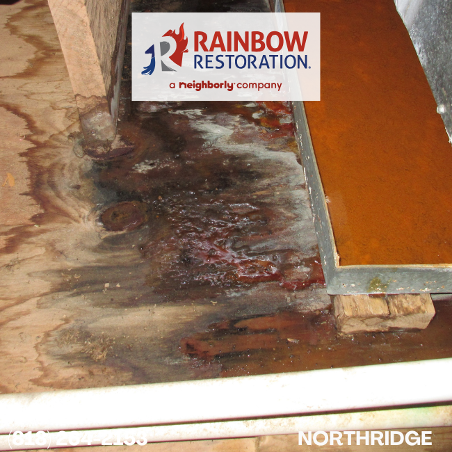  sylmar-water-damage-restoration-rainbow-restoration-of-northridge-6
