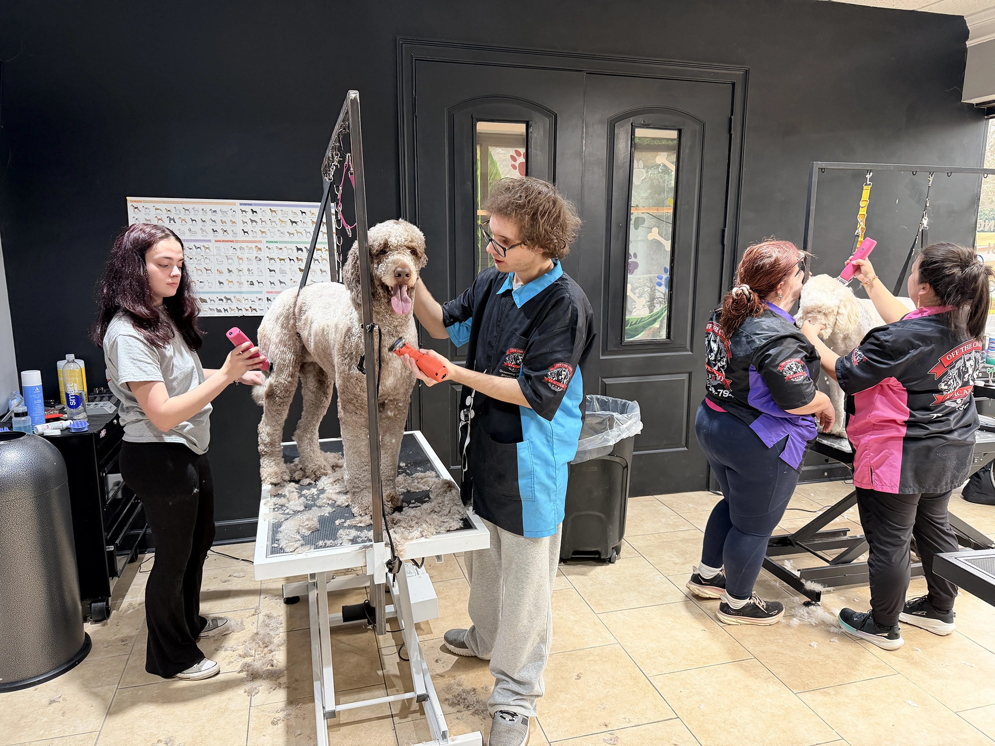 Introduction To Dog Grooming Certification