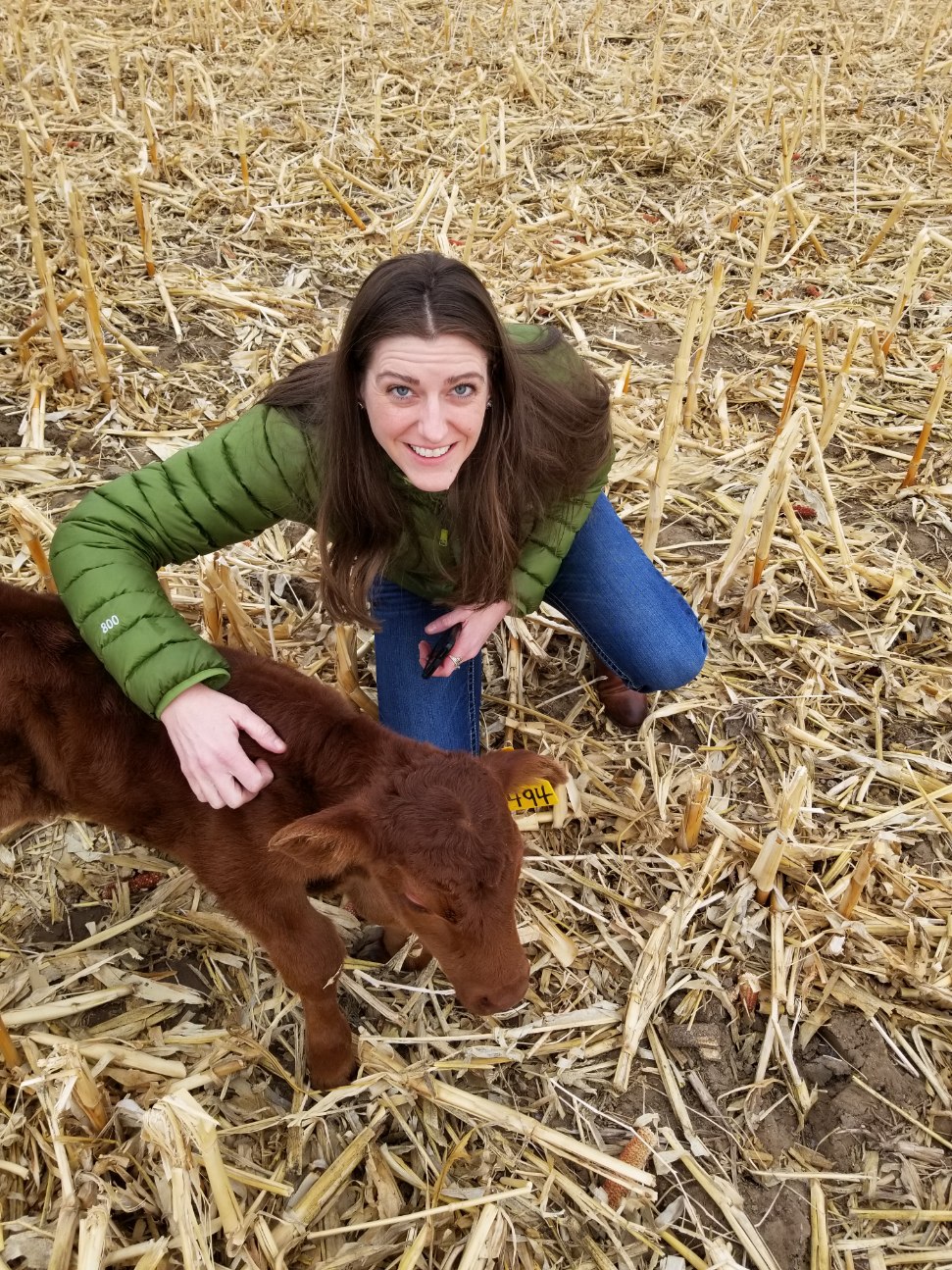 Calving Season